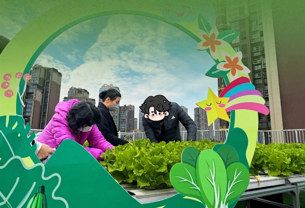 成都月子中心農場主|共享菜地，開啟有機坐月子生活2
